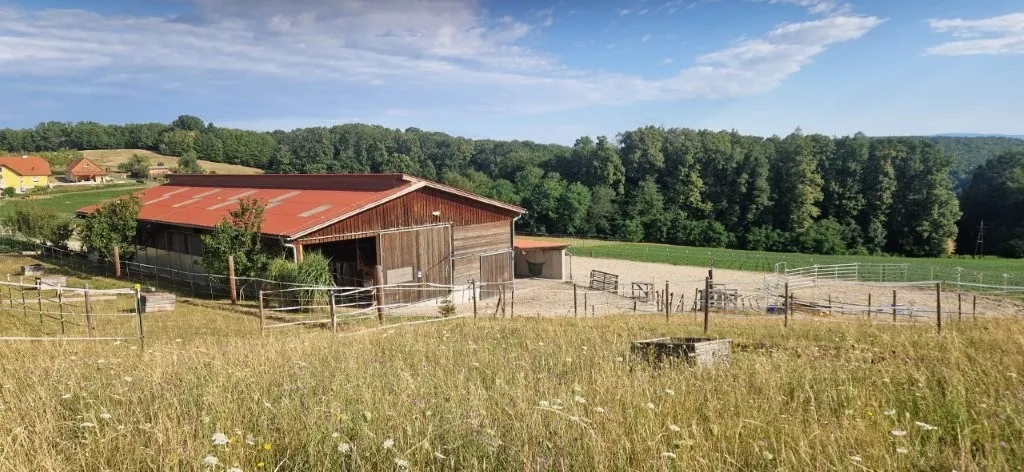 Mehr als ein Pferdestall - vielseitige Liegenschaft mit Halle und ca. 3,7 ha Wiesenflächen - Ansicht 2