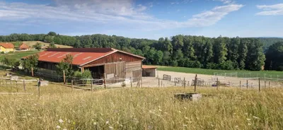 Grundstück kaufen in Güssing – 6 096 m², € 395.000 – Bild 2 von 14