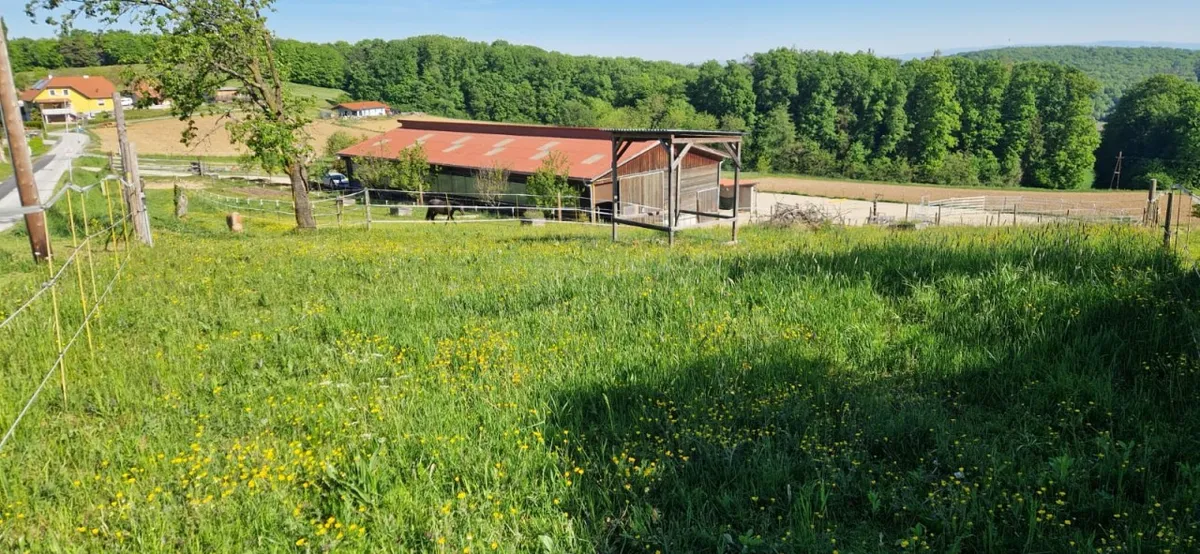 Mehr als ein Pferdestall - vielseitige Liegenschaft mit Halle und ca. 3,7 ha Wiesenflächen