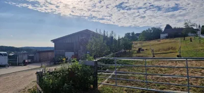 Grundstück kaufen in Güssing – 6 096 m², € 395.000 – Bild 6 von 14