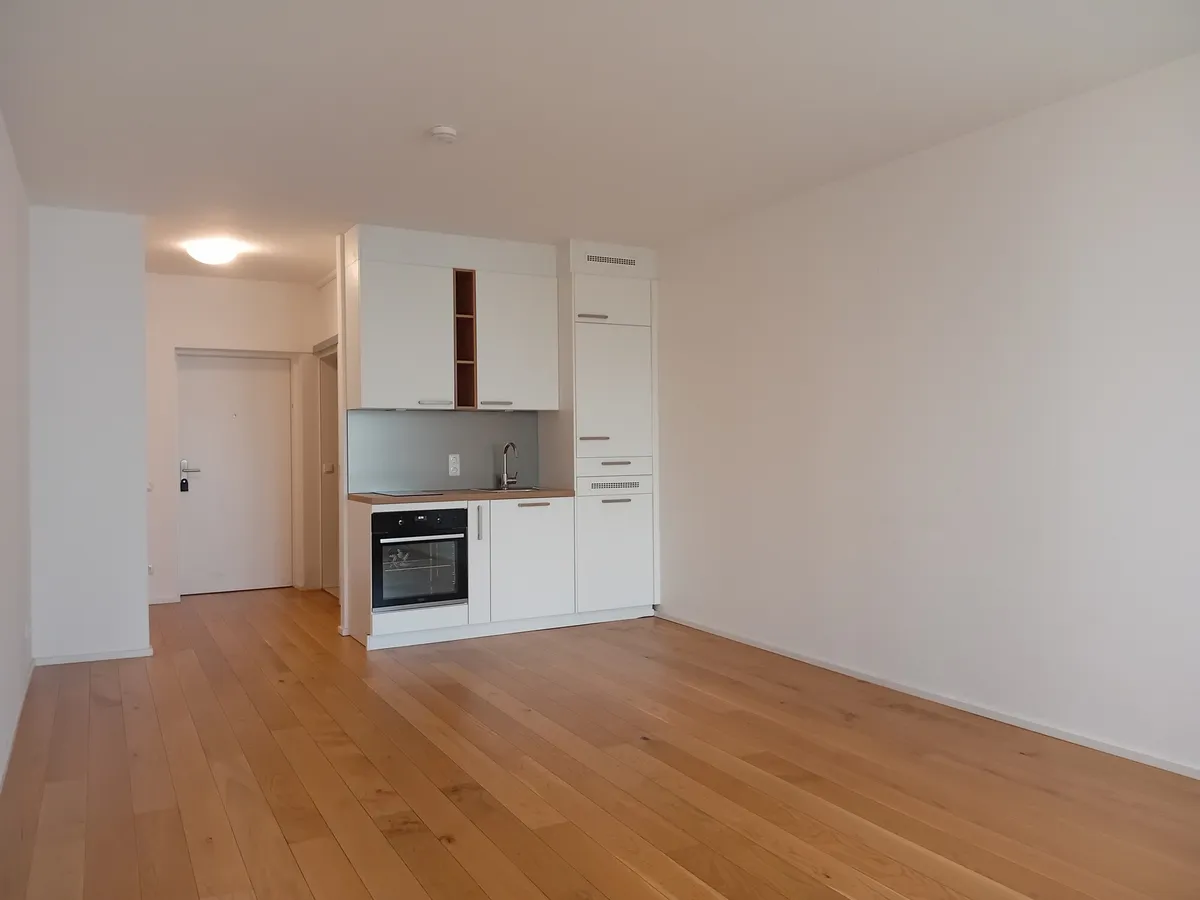 1 Zimmer-Wohnung | 3m² Loggia | Linz-Urfahr - Ansicht 3
