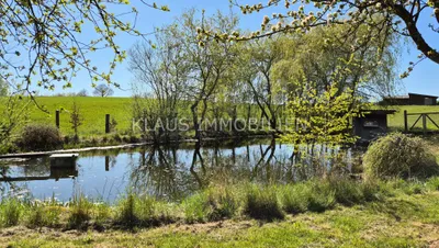 Grundstück kaufen in Zwettl – 23 000 m², € 599.000 – Bild 18 von 30