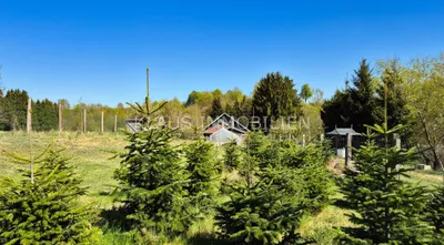 Grundstück kaufen in Zwettl – 23 000 m², € 599.000 – Bild 20 von 30