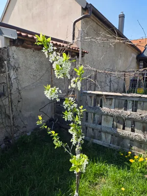 5-Zimmer-Haus kaufen in Neusiedl am See – 110 m², € 199.000 – Bild 15 von 22