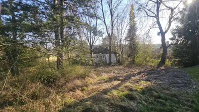 Immobilie kaufen in Graz-Umgebung – 1 309 m², € 299.900 – Bild 6 von 11