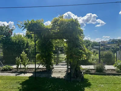 Wohnung kaufen in Wien – 33 m², € 355.000 – Bild 7 von 16