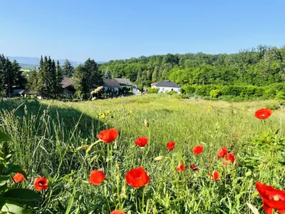 Grundstück kaufen in Korneuburg – 501 m², € 345.690 – Bild 1 von 8