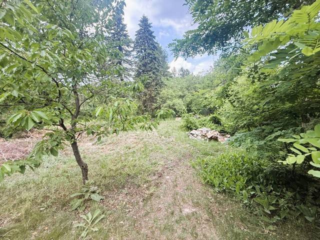 3 Bauplätze ab sofort zu vergeben - keine vis-a-vis Nachbarn - nur Wald - Bahnhof im Ort - Ansicht 2