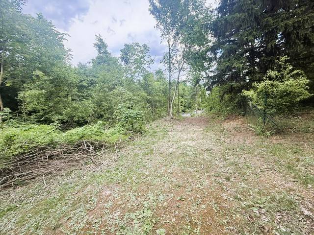 3 Bauplätze ab sofort zu vergeben - keine vis-a-vis Nachbarn - nur Wald - Bahnhof im Ort - Ansicht 3