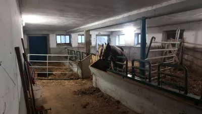 Immobilie mieten in Ried im Innkreis – 10 m², € 500 – Bild 5 von 5