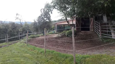 Immobilie mieten in Ried im Innkreis – 10 m², € 500 – Bild 2 von 5