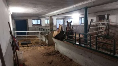 Immobilie mieten in Ried im Innkreis – 10 m², € 500 – Bild 4 von 5