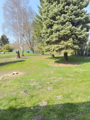 Grundstück kaufen in Korneuburg – 983 m², € 182.000 – Bild 11 von 14
