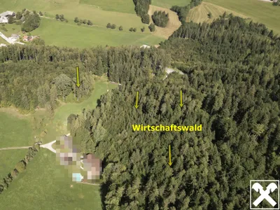 Grundstück kaufen in Kirchdorf an der Krems – 131 975 m², € 350.000 – Bild 2 von 9