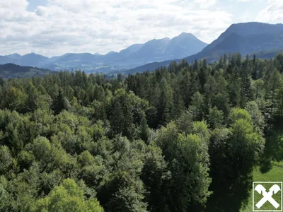 Grundstück kaufen in Kirchdorf an der Krems – 131 975 m², € 350.000 – Bild 6 von 9
