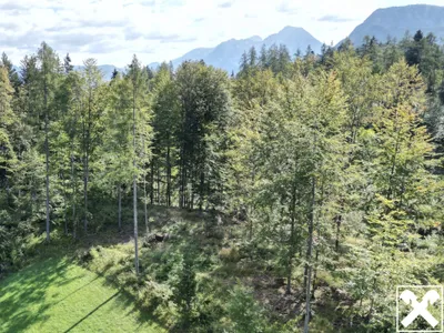 Grundstück kaufen in Kirchdorf an der Krems – 131 975 m², € 350.000 – Bild 7 von 9