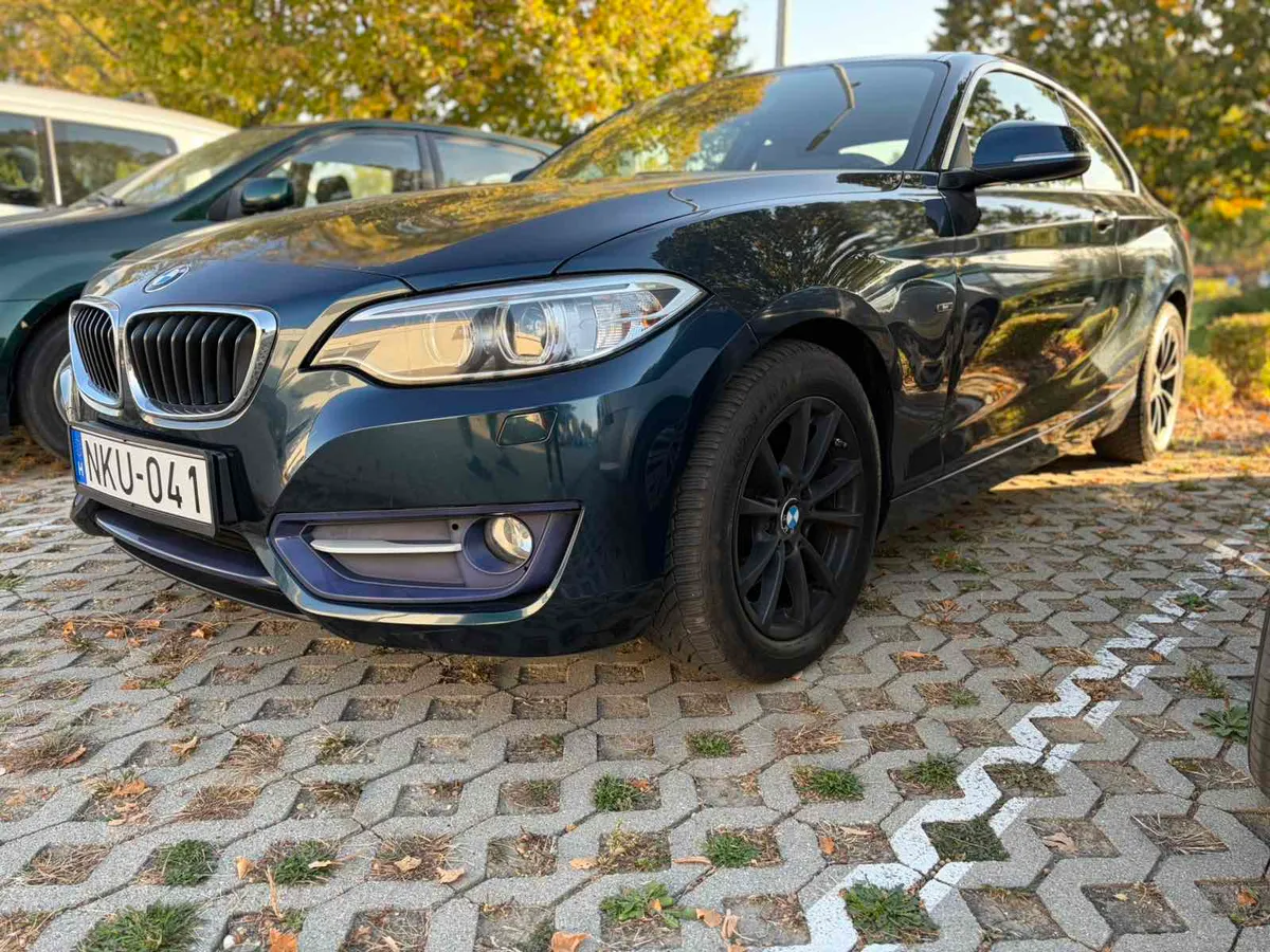 BMW 2 Series 2014 photo 2