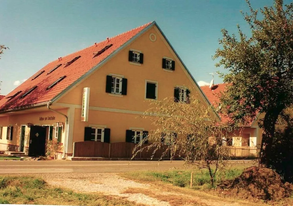 Außergewöhnliches Anwesen bei Stainz - Landwirtschaft, Wohnen, Vermietung & Pferdehaltung - Ansicht 3