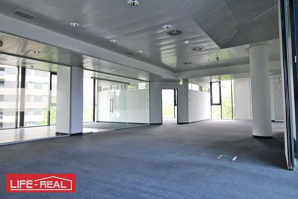 ein Wohlfühlbüro, hell, sonnig, lichtdurchflutet, - Ansicht 2