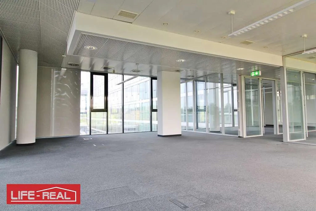 ein Wohlfühlbüro, hell, sonnig, lichtdurchflutet, - Ansicht 3