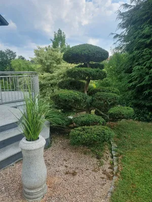 Haus kaufen in Schärding – 314 m² – Bild 5 von 17