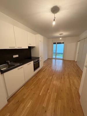 Ab 1.7. - Kompakte 1-1/2-Zimmer-Erdgeschoß-Singlewohnung mit ca.26m² Gartenanteil