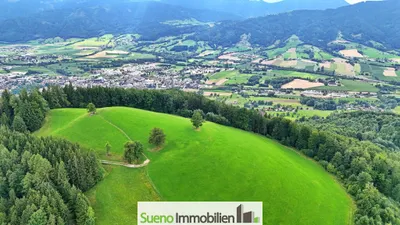 Grundstück kaufen in Kirchdorf an der Krems – 47 756 m², € 249.000 – Bild 11 von 13