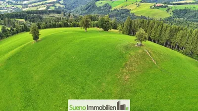 Grundstück kaufen in Kirchdorf an der Krems – 47 756 m², € 249.000 – Bild 3 von 13