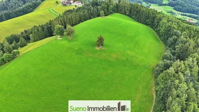 Grundstück kaufen in Kirchdorf an der Krems – 47 756 m², € 249.000 – Bild 8 von 13