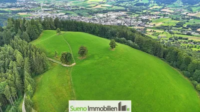 Grundstück kaufen in Kirchdorf an der Krems – 47 756 m², € 249.000 – Bild 10 von 13