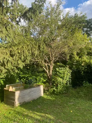 4-Zimmer-Haus mieten in Tulln – 115 m², € 1.980 – Bild 5 von 20