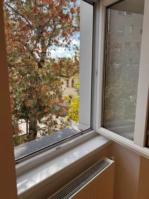 2-Zimmer-Wohnung mieten in Wien – 55,9 m², € 599 – Bild 4 von 8