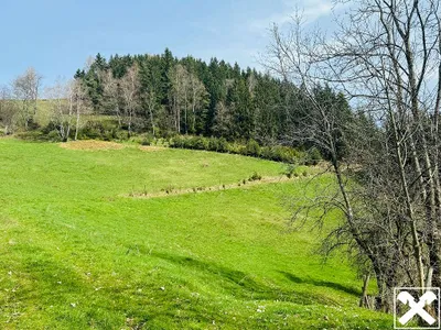 5-Zimmer-Immobilie kaufen in Wolfsberg – 260 m², € 695.000 – Bild 26 von 27