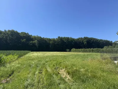 Grundstück kaufen in Südoststeiermark – 1 500 m², € 40 – Bild 2 von 3