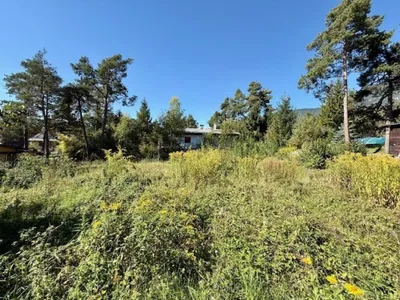 Grundstück kaufen in Imst – 753 m², € 599.000 – Bild 5 von 9