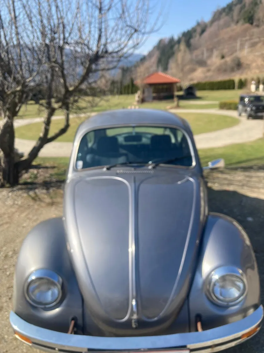 VW Käfer