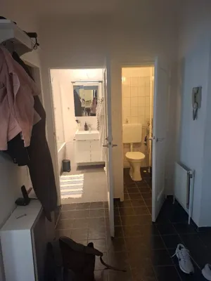1-Zimmer-Wohnung mieten in Wien – 40 m², € 342 – Bild 3 von 8