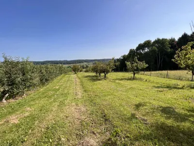 Immobilie kaufen in Hartberg-Fürstenfeld – 12 892 m², € 85.000 – Bild 13 von 15