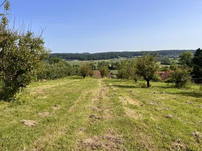 Immobilie kaufen in Hartberg-Fürstenfeld – 12 892 m², € 85.000 – Bild 1 von 15