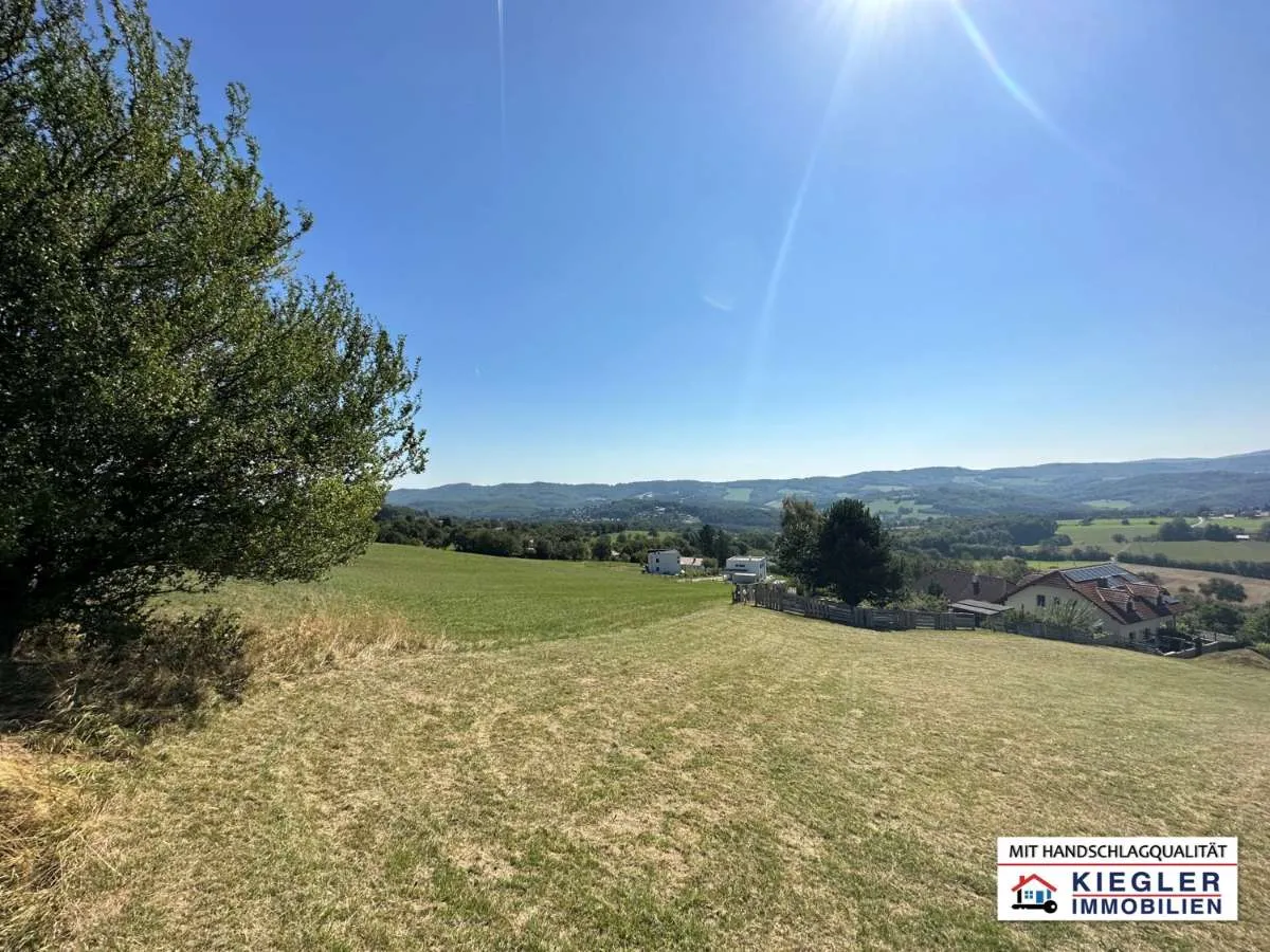 +++ TRAUMHAFTER 2544 m² BAUGRUND +++ SÜDHANGLAGE, PANORAMABLICK, GÖTZWIESEN, KEINE BAUVERPFLICHTUNG! - Ansicht 2