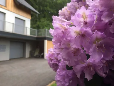 1-Zimmer-Wohnung mieten in Klagenfurt – 45 m², € 1.138 – Bild 15 von 21