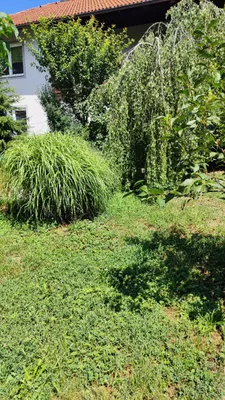 4-Zimmer-Wohnung mieten in Sankt Pölten Land – 100 m², € 830 – Bild 3 von 27