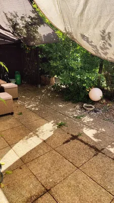 4-Zimmer-Wohnung mieten in Sankt Pölten Land – 100 m², € 830 – Bild 8 von 27