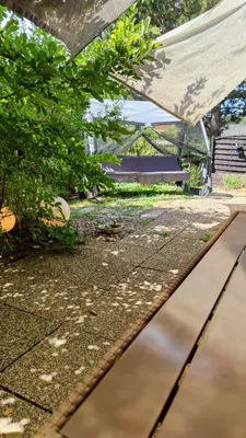 4-Zimmer-Wohnung mieten in Sankt Pölten Land – 100 m², € 830 – Bild 5 von 27