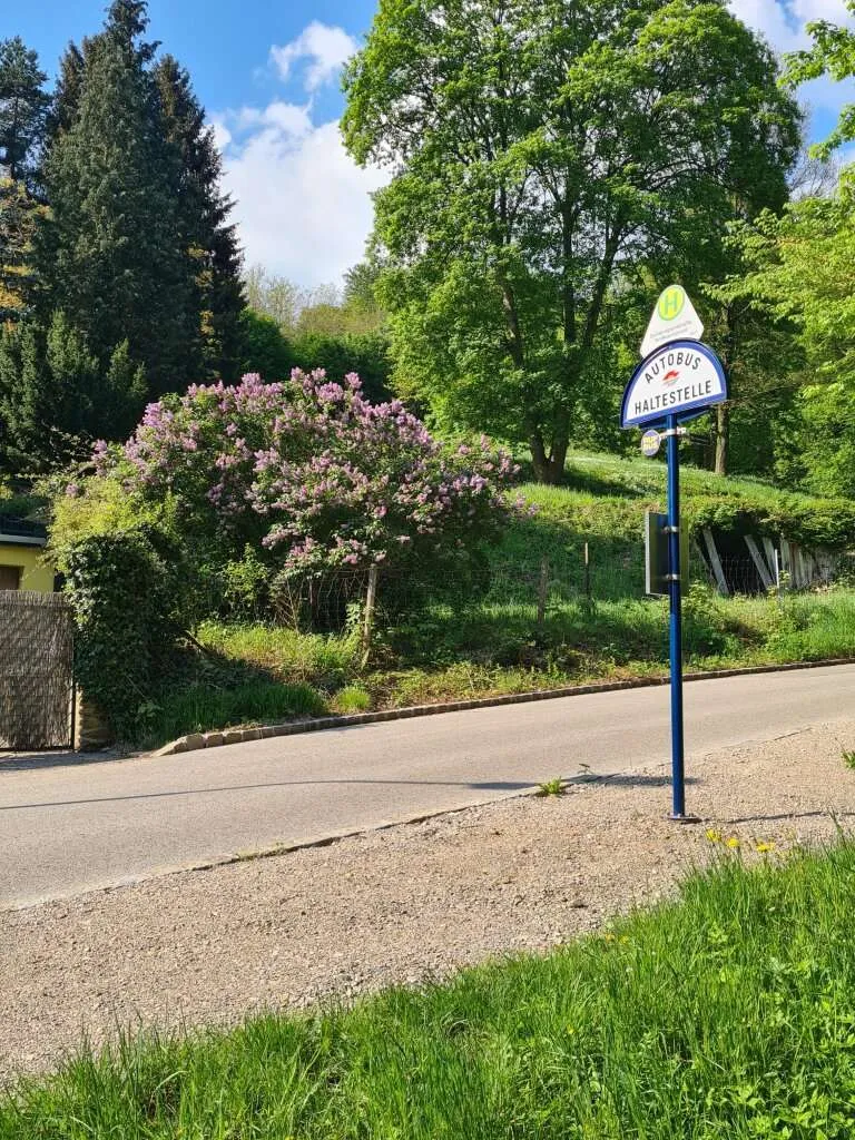 GROßZÜGIGER BAUGRUND IN ABSOLUTER RUHELAGE - Ansicht 2