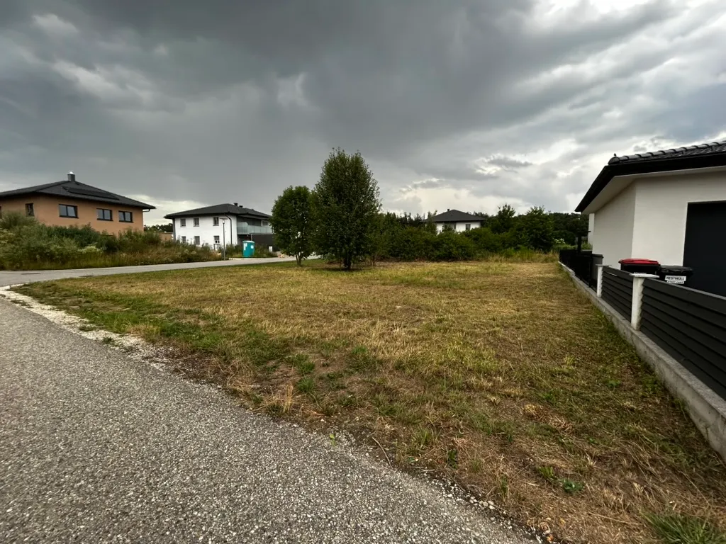 Aufgeschlossenes Eckgrundstück in 4470 Enns ohne Bauzwang - Ansicht 2