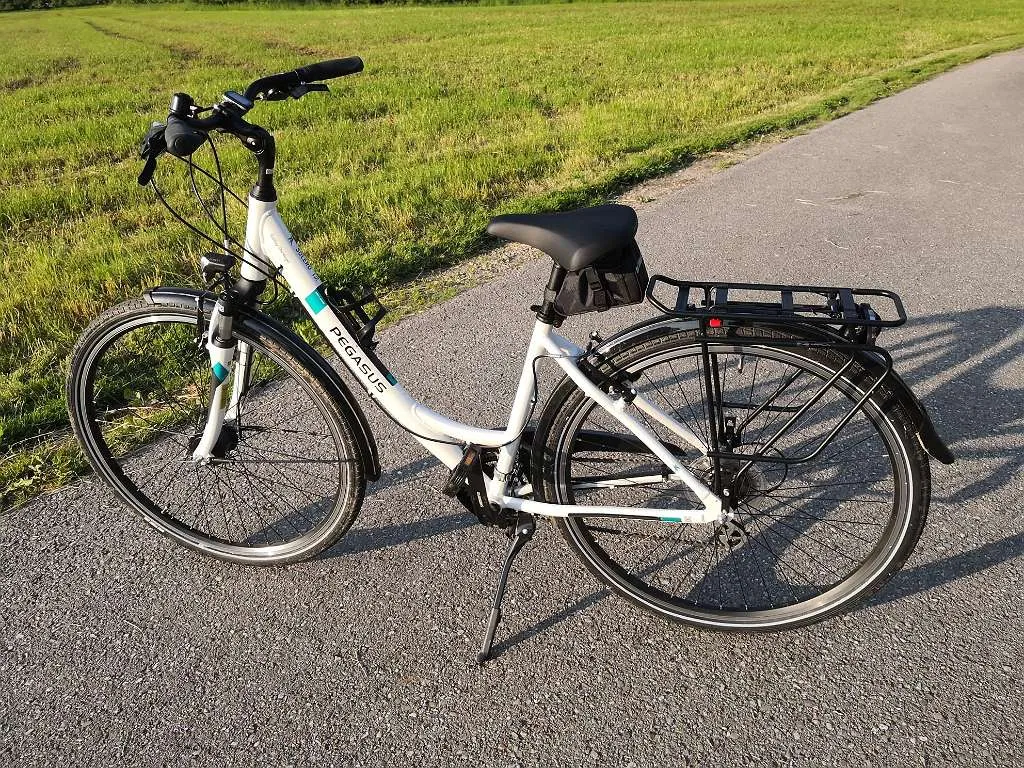 shimano saint plattformpedale PD-G8040 Flat Pedals Black Category_Kiefer/Swim Gear/Swim Gear/Swim Goggles/Competition Goggles/Cobra Drawing from SAINT’s bombproof Ergon GP4 Handgrips Motiv:Noah Ninja