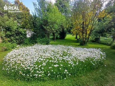 7-Zimmer-Haus kaufen in Waidhofen an der Thaya – 165 m², € 135.000 – Bild 3 von 24