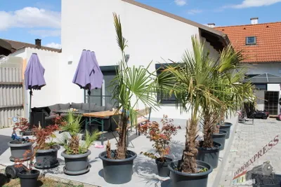 4-Zimmer-Haus kaufen in Gänserndorf – 120 m², € 430.000 – Bild 5 von 27