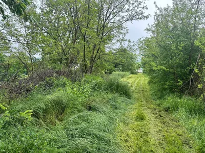 Grundstück kaufen in Neusiedl am See – 2 452 m², € 300.000 – Bild 7 von 35